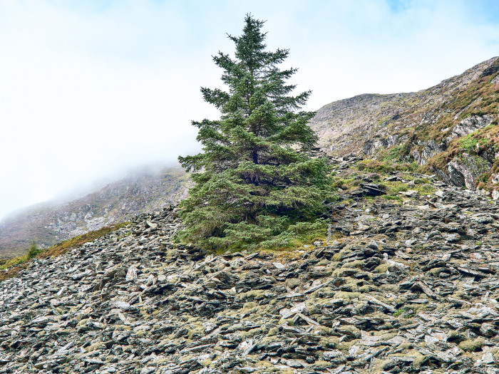 02-Pc13-2025-07-25 10.34.02